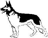 button2.gif (3084 bytes)