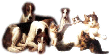 wpe1.jpg (9315 bytes)